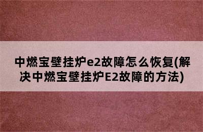 中燃宝壁挂炉e2故障怎么恢复(解决中燃宝壁挂炉E2故障的方法)