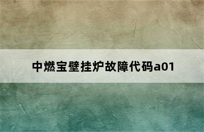 中燃宝壁挂炉故障代码a01