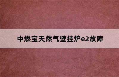 中燃宝天然气壁挂炉e2故障