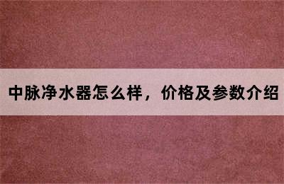 中脉净水器怎么样，价格及参数介绍