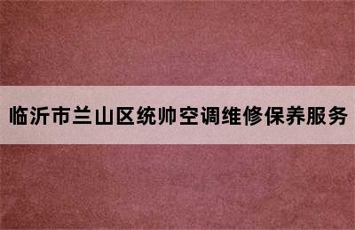 临沂市兰山区统帅空调维修保养服务