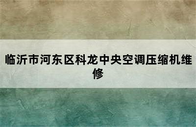 临沂市河东区科龙中央空调压缩机维修