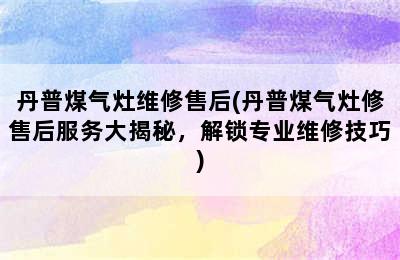 丹普煤气灶维修售后(丹普煤气灶修售后服务大揭秘，解锁专业维修技巧)