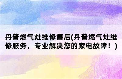 丹普燃气灶维修售后(丹普燃气灶维修服务，专业解决您的家电故障！)