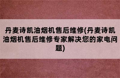 丹麦诗凯油烟机售后维修(丹麦诗凯油烟机售后维修专家解决您的家电问题)