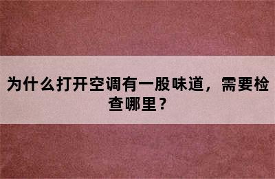 为什么打开空调有一股味道，需要检查哪里？