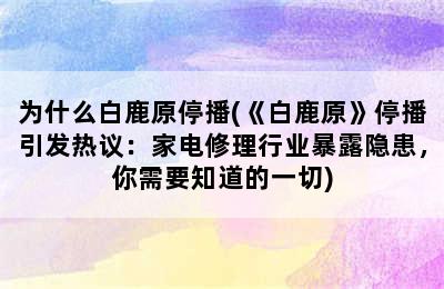 为什么白鹿原停播(《白鹿原》停播引发热议：家电修理行业暴露隐患，你需要知道的一切)