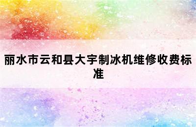 丽水市云和县大宇制冰机维修收费标准