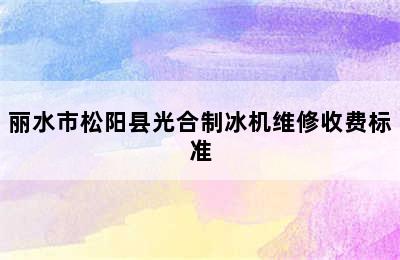 丽水市松阳县光合制冰机维修收费标准