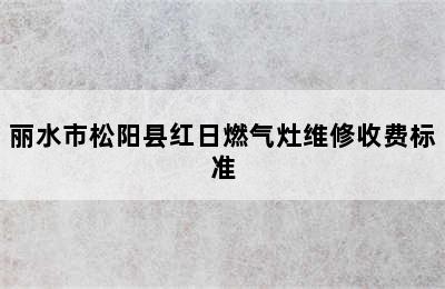 丽水市松阳县红日燃气灶维修收费标准