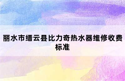 丽水市缙云县比力奇热水器维修收费标准