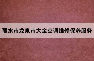 丽水市龙泉市大金空调维修保养服务