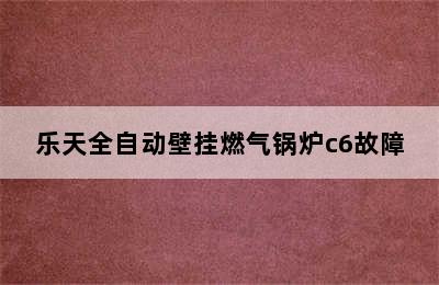 乐天全自动壁挂燃气锅炉c6故障