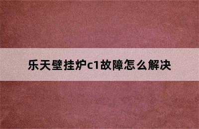 乐天壁挂炉c1故障怎么解决