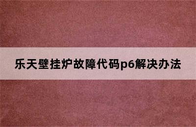 乐天壁挂炉故障代码p6解决办法