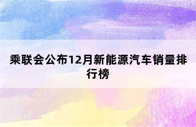 乘联会公布12月新能源汽车销量排行榜