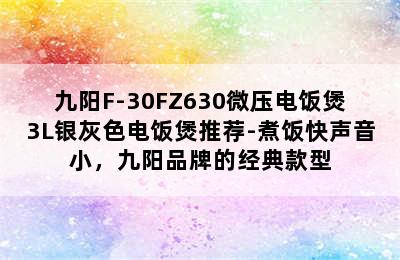 九阳F-30FZ630微压电饭煲3L银灰色电饭煲推荐-煮饭快声音小，九阳品牌的经典款型