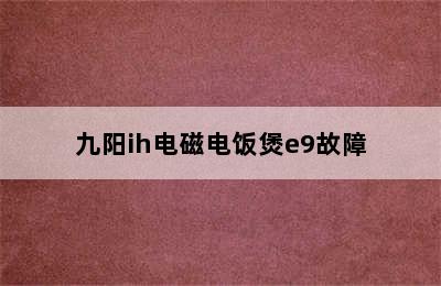 九阳ih电磁电饭煲e9故障