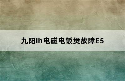 九阳ih电磁电饭煲故障E5