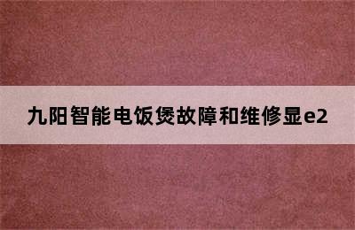 九阳智能电饭煲故障和维修显e2