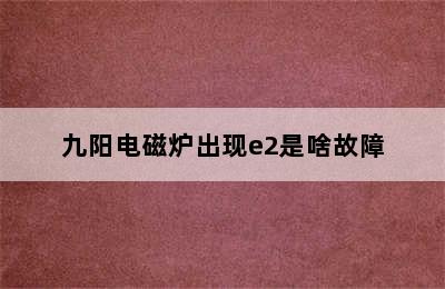 九阳电磁炉出现e2是啥故障