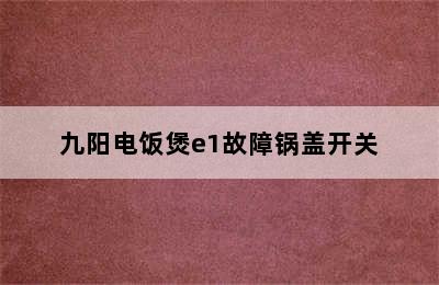 九阳电饭煲e1故障锅盖开关