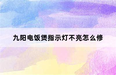 九阳电饭煲指示灯不亮怎么修