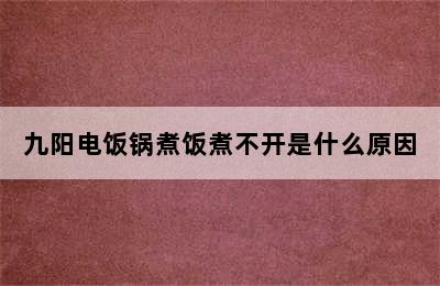 九阳电饭锅煮饭煮不开是什么原因