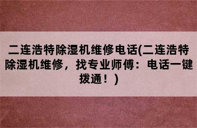 二连浩特除湿机维修电话(二连浩特除湿机维修，找专业师傅：电话一键拨通！)