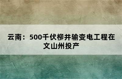 云南：500千伏柳井输变电工程在文山州投产