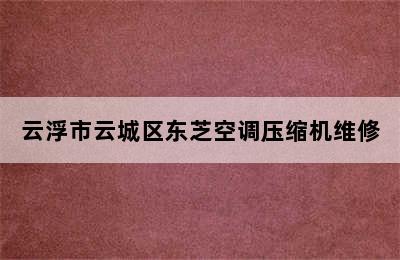 云浮市云城区东芝空调压缩机维修