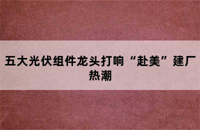 五大光伏组件龙头打响“赴美”建厂热潮