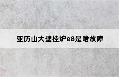 亚历山大壁挂炉e8是啥故障