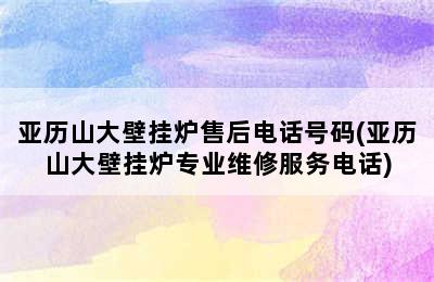 亚历山大壁挂炉售后电话号码(亚历山大壁挂炉专业维修服务电话)