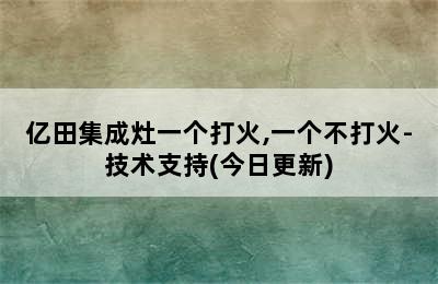 亿田集成灶一个打火,一个不打火-技术支持(今日更新)