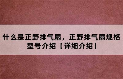 什么是正野排气扇，正野排气扇规格型号介绍【详细介绍】