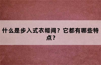 什么是步入式衣帽间？它都有哪些特点？