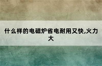 什么样的电磁炉省电耐用又快,火力大