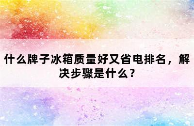 什么牌子冰箱质量好又省电排名，解决步骤是什么？