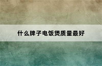 什么牌子电饭煲质量最好