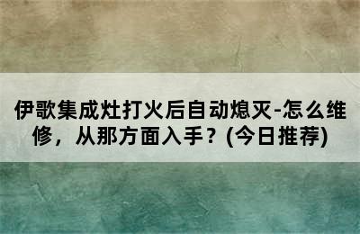 伊歌集成灶打火后自动熄灭-怎么维修，从那方面入手？(今日推荐)