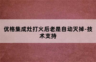 优格集成灶打火后老是自动灭掉-技术支持