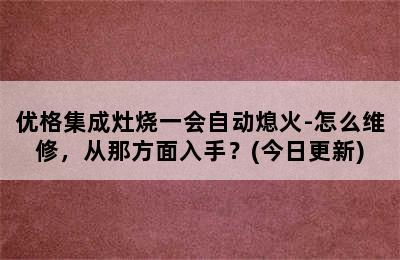 优格集成灶烧一会自动熄火-怎么维修，从那方面入手？(今日更新)