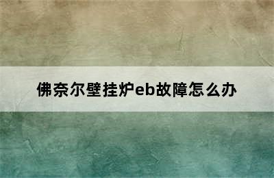 佛奈尔壁挂炉eb故障怎么办