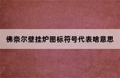 佛奈尔壁挂炉图标符号代表啥意思