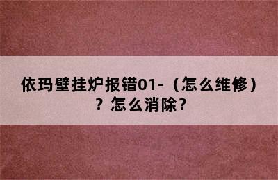 依玛壁挂炉报错01-（怎么维修）？怎么消除？