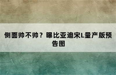 侧面帅不帅？曝比亚迪宋L量产版预告图