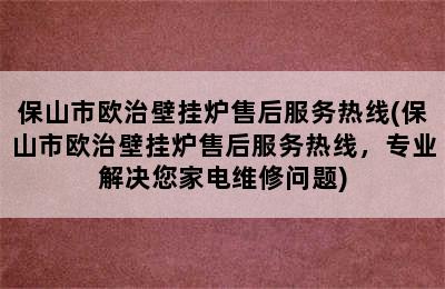 保山市欧治壁挂炉售后服务热线(保山市欧治壁挂炉售后服务热线，专业解决您家电维修问题)