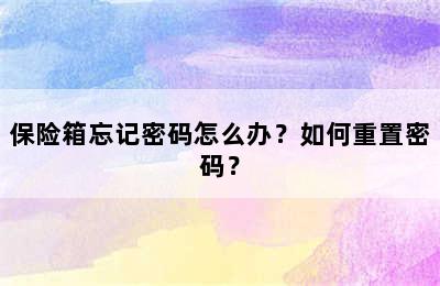 保险箱忘记密码怎么办？如何重置密码？