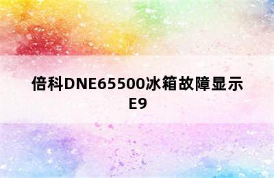 倍科DNE65500冰箱故障显示E9